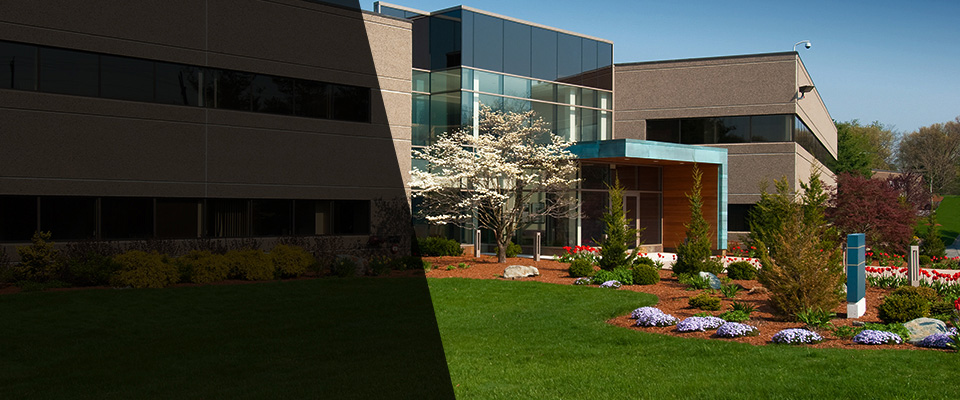 Cresskill Landscapers