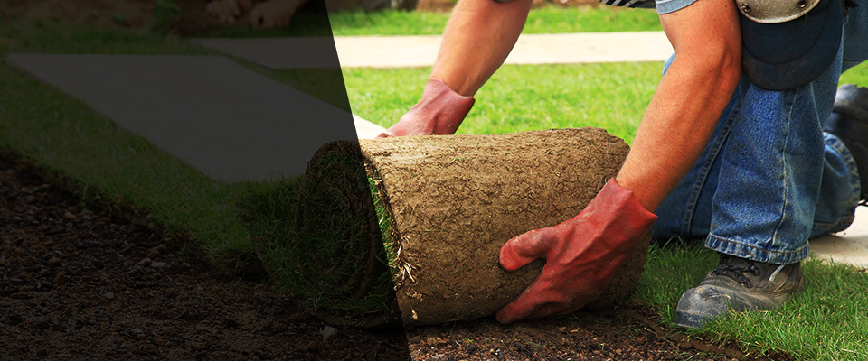 Cresskill Landscapers